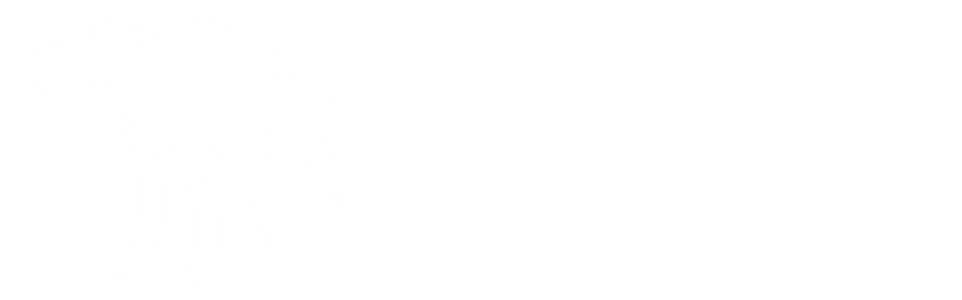Falcon Sports