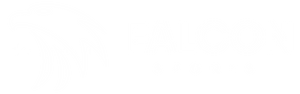 Falcon Sports